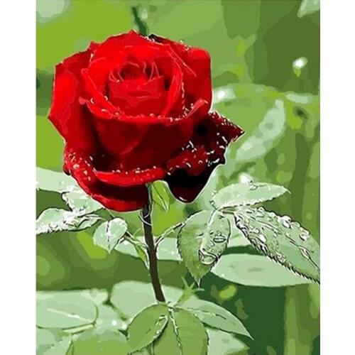 GATYZTORY Frame Rose Flower Picture DIY HandPainted Oil Painting Paint By Numbers For Adults Children Colouring Home Decoration