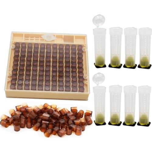 Beekeeping Tools Equipment Set Queen Rearing System Cultivating Box 120pcs Plastic Bee Cell Cups Cupkit Queen Cage