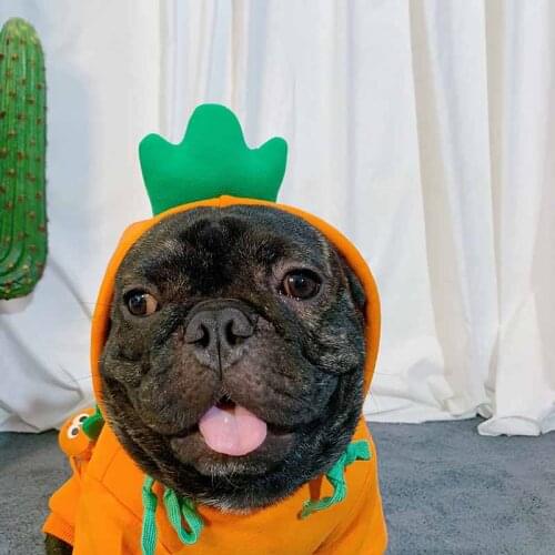 Autumn and winter new dog cat small and medium-sized dog fighting Teddy Schnauzer clothes funny fruit hooded sweater