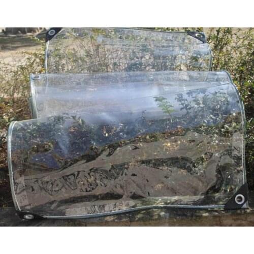 Customize multiple sizes full transparent cover cloth,thickness 0.5mm waterproof PVC tarp,100% transparent rain material.curtain