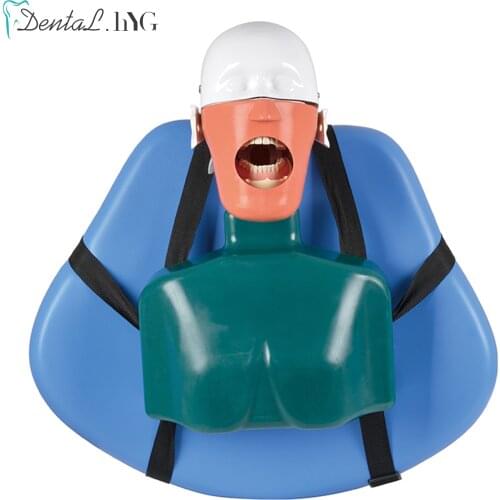 Dental simulator manikin phantom head Dental phantom head model with new style bench mount for dentist education