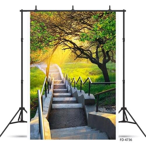 Grassland Trees Sunshine Steps Photography Backdrop Vinyl Backgrounds for Children Baby Portrait Scenery Photocall Photo Studio