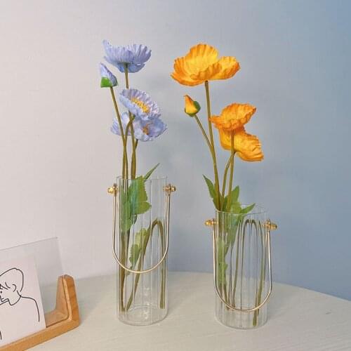 Ins Transparent Glass Vases Flower Hydroponic Vase Living Room Decoration Home Decor Room Decors Flower Pot Deco Декор Ваза