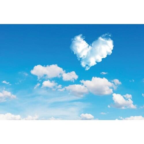 Blue Sky Cloud Baby Shower Birthday Portrait Photography Backdrops Vinyl Photographic Background For Photo Studio Photophone