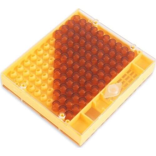 1Pcs Beekeeping Tools Queen Bee Rearing System Beekeeping Cultivate The Queens Box System Plastic Nicot Cage Tools