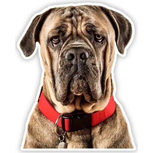 B0699# Self-adhesive Decal Dog Face Car Sticker Waterproof Auto Decors on Bumper Rear Window Motorcycle Laptop Helmet