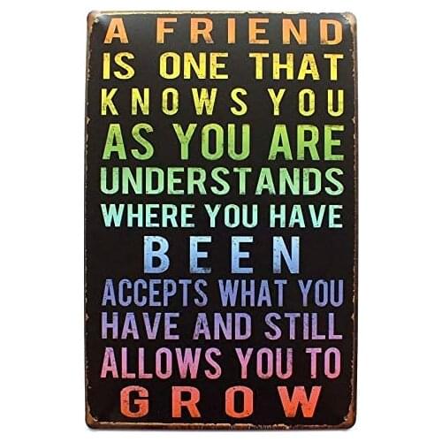 New Metal Tin Sign A Friend is One That Knows You Home Kitchen Bar Club Signs 16x12Inch