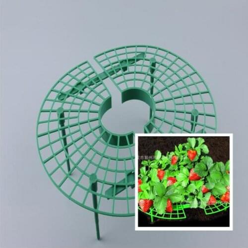 5pc Strawberry planting scaffolds plant scaffolds and protective equipment plant cages to prevent strawberry decay in rainy days