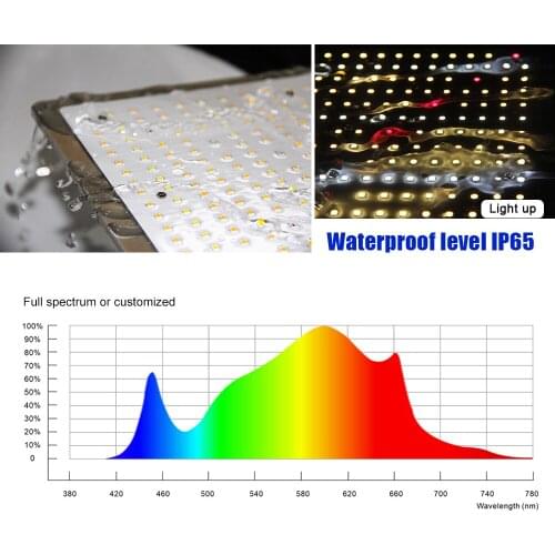 Meanwell Driver 220W Samsung Board LM301H LM301B Full Spectrum Indoor Dimmable LED Grow Lights/Lamps for Veg and Bloom