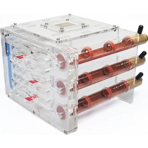 DIY Acrylic Ecological Bamboo Tube Ant Farm Ant Nest 3 Tubes with Feeding area Ant House Workshop Pet Anthill 19*16.4*14cm