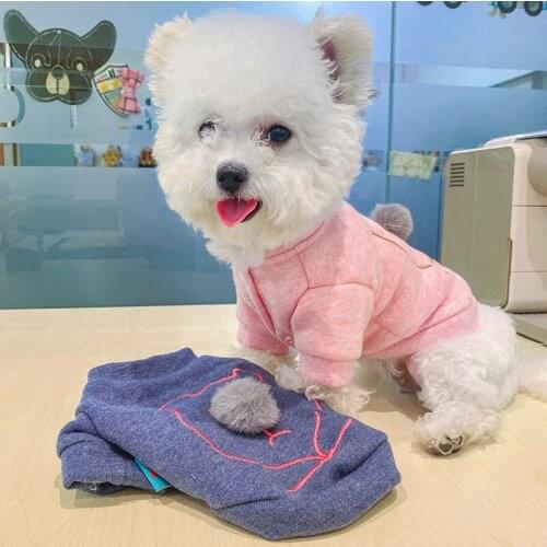 Pet Clothes Dog Clothes Hooded Sweater Little Bear Cartoon Transformation Winter Warm Plus Cashmere Christmas Halloween Costume