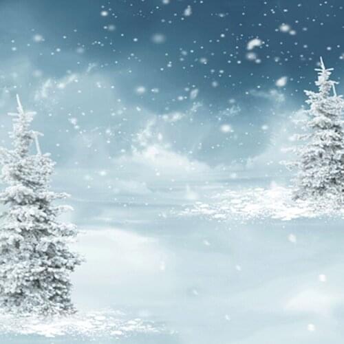 Gray Snow Winter Backdrops for Photo Studio fond de studio de photographie Holiday Photography Backgrounds 150cm*200cm