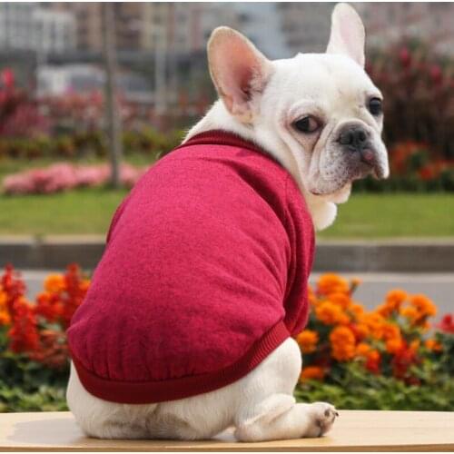 A Pet Cat Dog Clothes Classic Warm Pet Sweatshirt Chihuahua Dog Shirt Puppy Jacket Small Dog Cotton Costumes