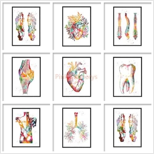 Footprint Skeleton Watercolor Diamond Painting 5D Foot Bones Anatomy Medical Mural Diamond Mosaic Clinic Medical Office Decor