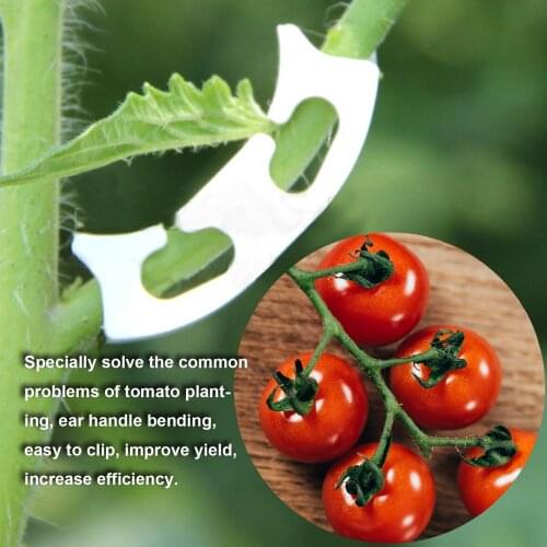 Universal Garden Tomato Stem Clamp Plant Branches Bender Tomato Stalk Twig Reinforcement Clamp 50/100Pcs