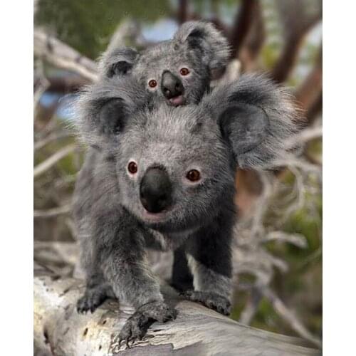 5d diy koala diamond painting Cross Stitch kits,full square Diamond Embroidery animals round diamond drills Diamond Mosaic