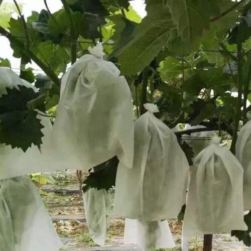 100Pcs Grape Protection Bags Garden Fruit Flower Protection Bag Agricultural Pest Control Anti-Bird Mesh Bags