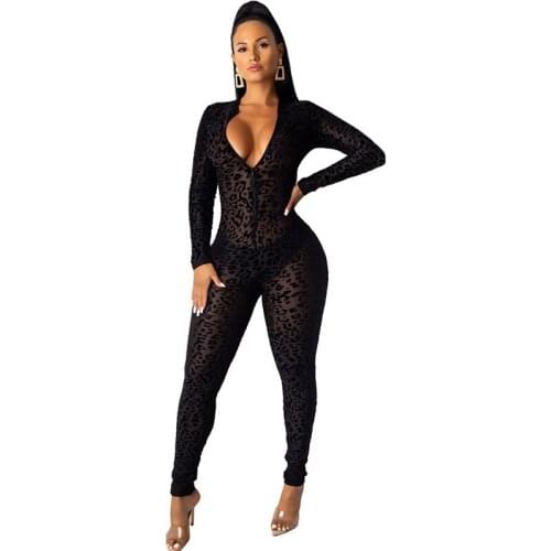 Leopard Print Sexy Club One Piece Jumpsuit Women Fall 2020 Long Sleeve V-neck Mesh Sheer Party Bodycon Rompers Womens Jumpsuit