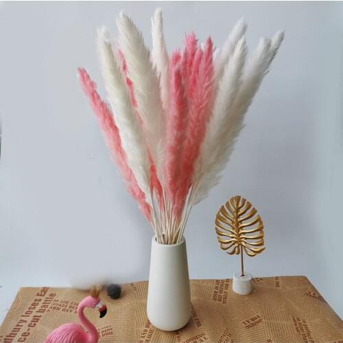 30Pcs Mix Dried Real Flower Bouquet Flores Preservadas Bulrush Natural Dried Small Pampas Grass Phragmites Wedding Home Decor
