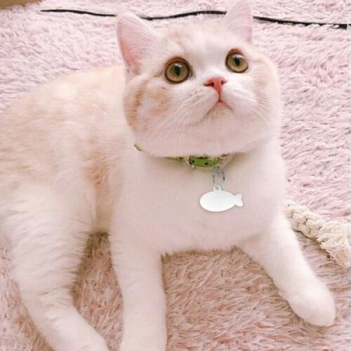 Cat Head /Fish Shape Personalized Pet ID Tag Stainless Steel Engraved Pet ID Name for Cat Puppy Dog Collar Tag Pendant Keyring