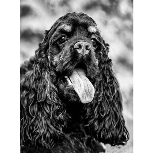 5D Diy Diamond Painting Black Cocker Spaniel Full Square Round Dog Embroidery Rhinestone Cross Stitch Mosaic Home DecorZP-4469