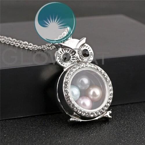 Owl Crystal Living Glass Memory Floating Lockets Magnetic Silver Color Pendant Necklace DIY 50cm Jewelry