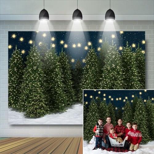 Forest Snowy Photography Background Kids Baby Portrait Glitter Stars Wood Trees Christmas Family Newborn Children Photostudio