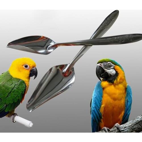 1Pc Durable Metal Pet Bird Parrot Feeding Food Milk Powder Spoon Accessory Tool Feeding Supplies