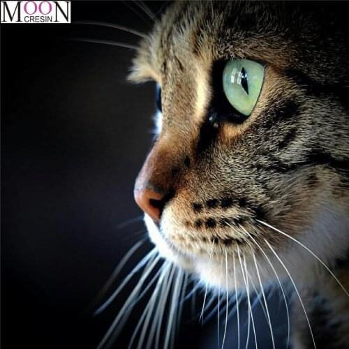 MOONCRESIN DIY Diamond Painting Cross Stitch Cats Eyes Diamond Embroider Full Square Drill Mosaic Decor Needlework Aniaml Gifts