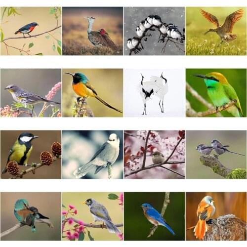 Square Diamond Painting Diy Cross Stitch Kit Colored Bird Decoration Painting 5D Rhinestone Embroidery Mosaic Embroidery Gift