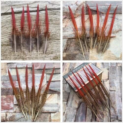 Wholesale! 10pcs Pretty 2-12 inches/5-30 cm Natural Golden Pheasant Feathers decoration diy collection stage performances