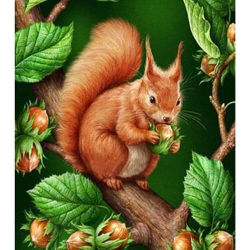 5D DIY Diamond Painting Square/Round Diamond Animal Painting Cute Little Squirrel Picture Cross Stitch Mosaic Home Decor WG2842