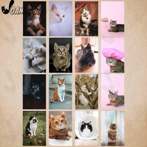 Cute Orange Cat Diamond Painting 5D Diy Cross Stitch Fun Animal Mosaic Manor Diamond Embroidery Inlaid Home Room Decoration