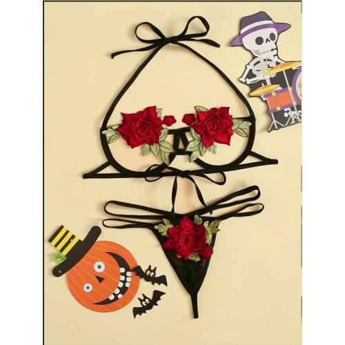 Womens Underwear Set Sexy Embroidered Bra and Panty set Push up Bralette Floral Lingerie Set Sexy Transparent Underwear