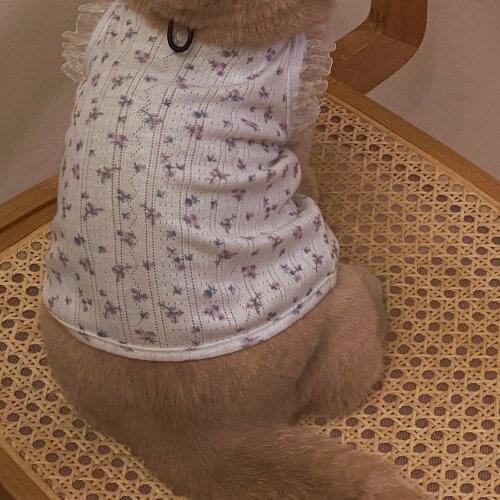 Spring Summer Autumn Thin Sweater Dog Cat Clothes Kitten Clothes Cute Vest Cute Cat Suit Teddy Dogs