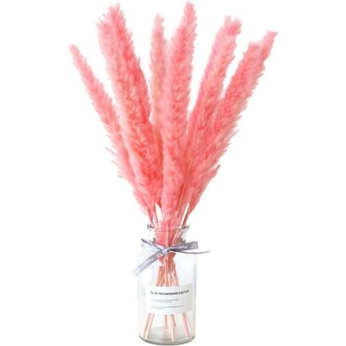 15pcs Decor wedding home small pampas reed grass dried natural phragmites flowers bouquets 3 colors