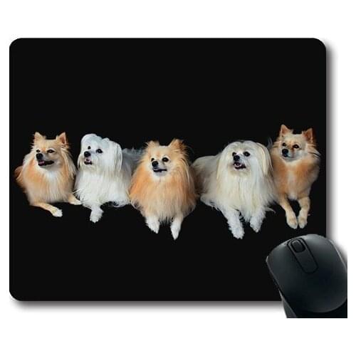 Dog Lover Mouse Pad,Dogs Pomeranian Maltese Lined Up Attention Good,dogs mouse mat