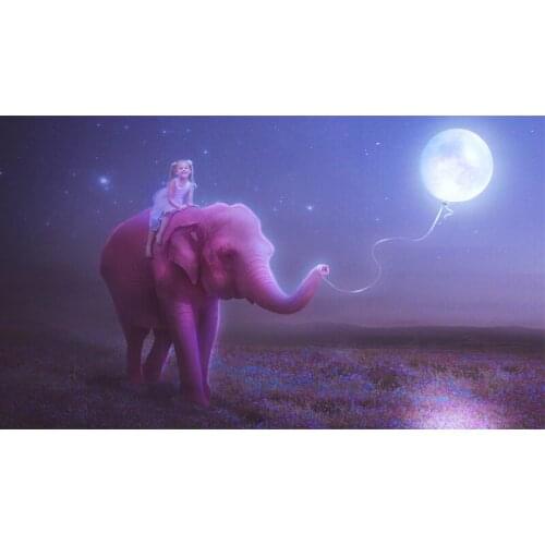 Full Square Drill 5D DIY girl elephant moon balloon night diamond painting Cross Stitch 3D Embroidery Kits home decor H39