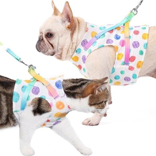 Dog Cat Harness And Leash Set Rainbow Dot Pattern Pet Cat Vest Harnesses Breathable Walking Leash Set For Small Medium Dogs