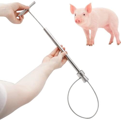 Stainless Steel Animal Hog Piglet Catcher Pole Pig Holder Snare Hog Holder Farm Equipment Pig raising equipment