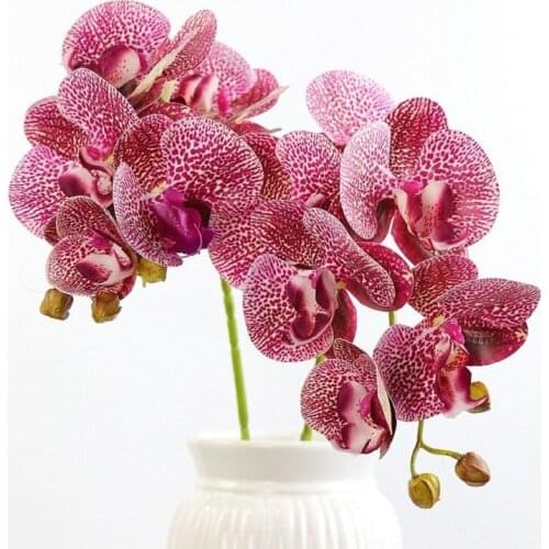 1 bunch (6 heads) plastic Butterfly orchid , used for home decoration, wedding decoration flower