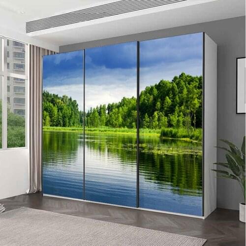 Dandelion bedroom glass film wardrobe door stickers cellophane blackout window flower stickers frosted sliding door film