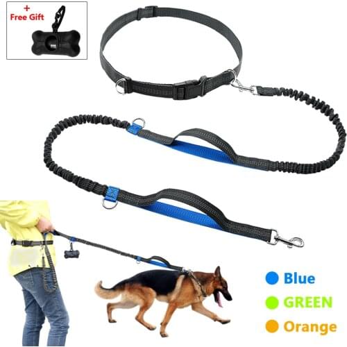 Hands Free Dog Leash Retractable Bungee Leash Lead Reflective For Running Walking Up to 150 lbs Large Dogs Free Bag Dispenser