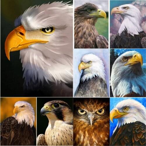 5D DIY Diamond Painting Manual Gift Bald Eagle Diamond Embroidery Animal Cross Stitch Full Square Round Drill Crafts Home Decor
