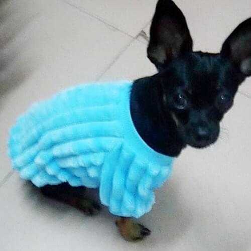 Small Dog Hoodies Winter Pet Dog Clothes Outfit Cat Doggie Yorkshire Chihuahua Puppy Coat Poodle Pomeranian Schnauzer Clothing