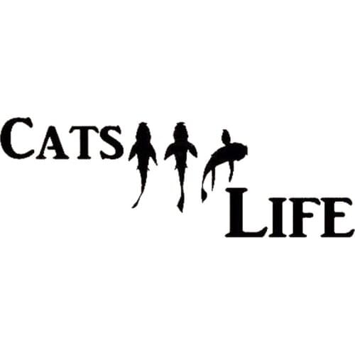 15*5.1cm CATFISH LIFE FISH FISHING DECAL STICKER Be Different Motorcycle SUVs Bumper Car Window Laptop Car Stylings