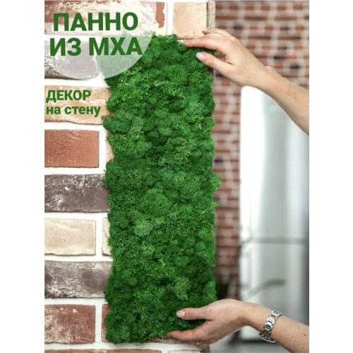 Bloom Showroom Decorative Plaques