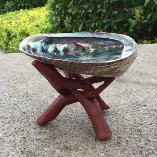 Natural Mexico abalone shell Big Conch Home Decoration Aquarium Landscaping Wedding Landscape Decoraition Originality Crafts