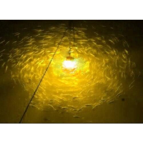52LEDs 15° 12VDC AC110-240V LED Underwater Night Fishing Light Lure for Attracting Bait and Fish Night Fishing Light