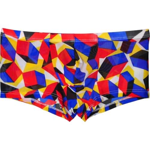 See-Through Sexy Bikini Mens Underwear Boxer Shorts Micro Mesh Transparent Undershorts Male Underwear Underpants Men Boxers